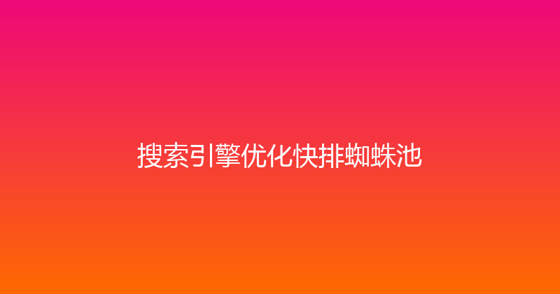 搜索引擎优化快排蜘蛛池 封面图