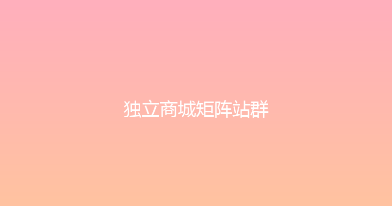 独立商城矩阵站群 封面图