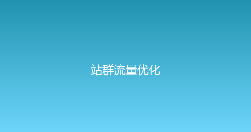 站群流量优化 封面图