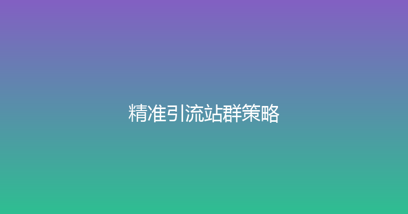 精准引流站群策略 封面图