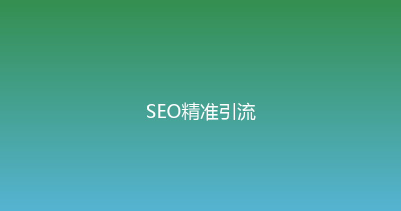 SEO精准引流 封面图